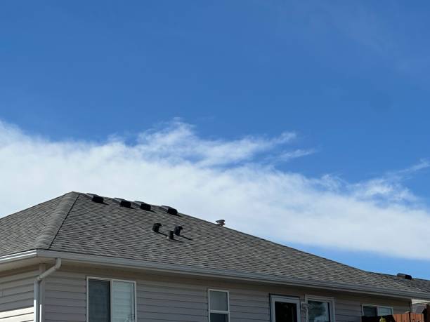 Fast & Reliable Emergency Roof Repairs in Battlement Mesa, CO